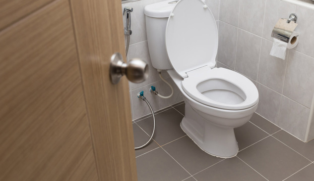 Jak dokonać prawidłowego wyboru - kompakt WC?